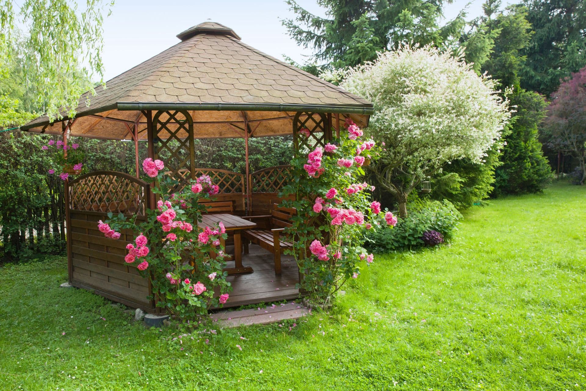 Gartenpavillon aus Holz, umrankt von blühenden Rosen, umgeben von grünem Rasen und Bäumen für eine idyllische Atmosphäre.