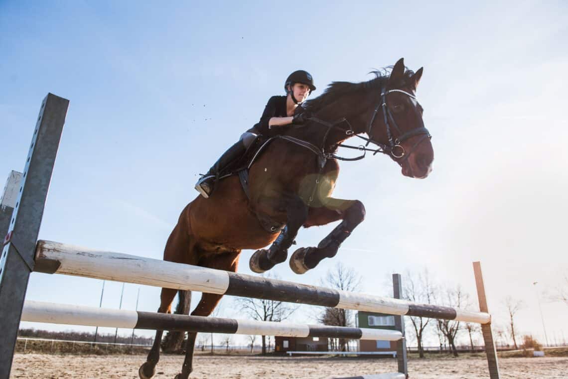 A person jumps with a horse over an obstacle on a riding arena