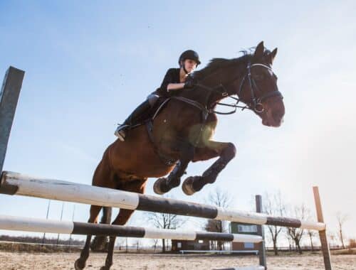 A person jumps with a horse over an obstacle on a riding arena