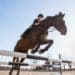 A person jumps with a horse over an obstacle on a riding arena