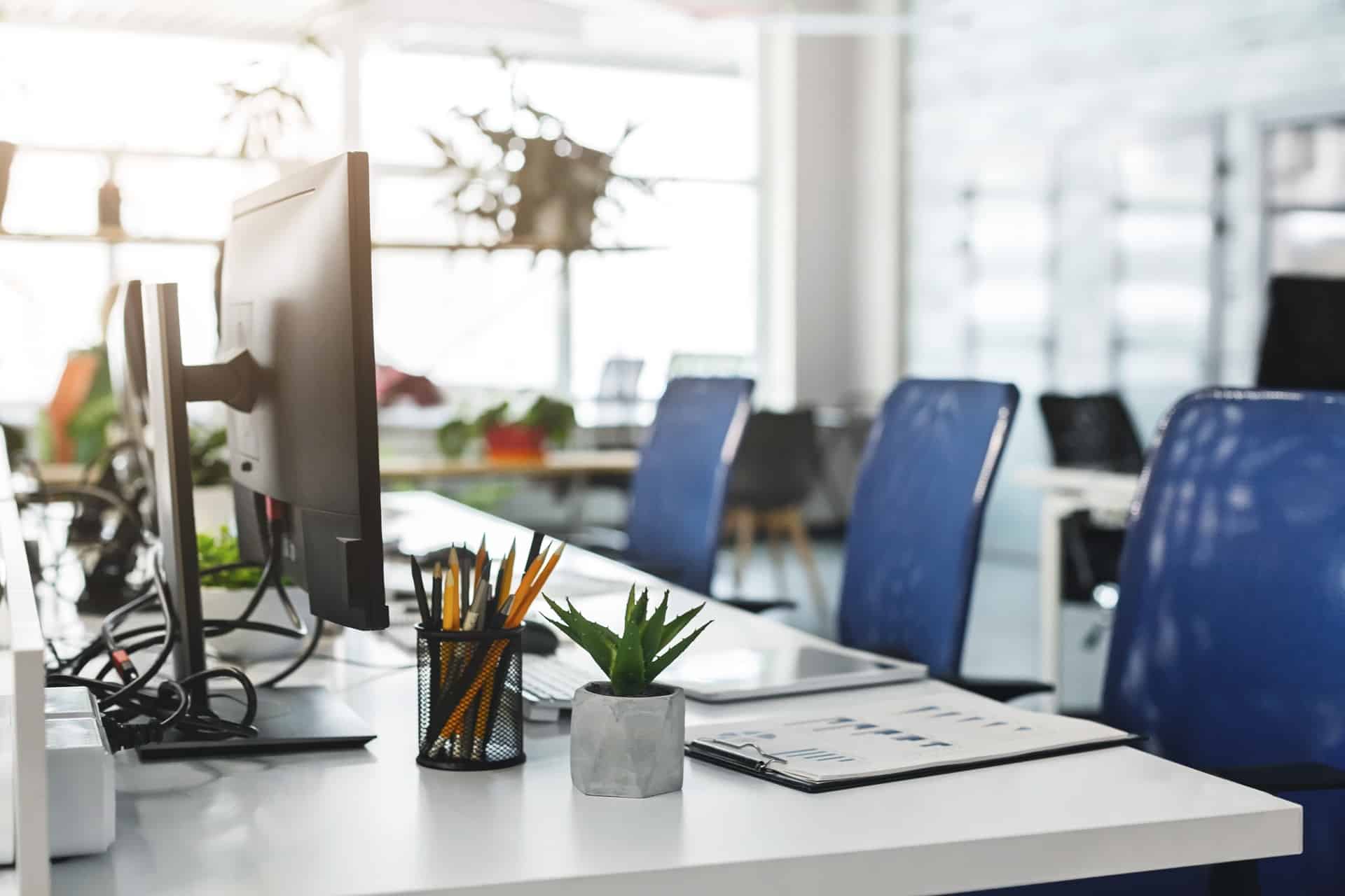 Moderner Arbeitsplatz mit Monitoren und Pflanzen | Akustikpaneel