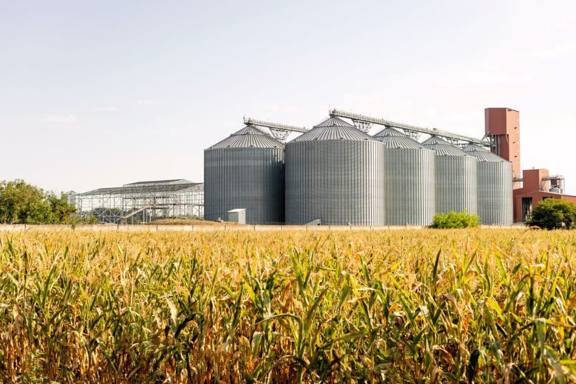 Getreidesilos am Feldrand bei Maisernte