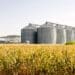 Getreidesilos am Feldrand bei Maisernte