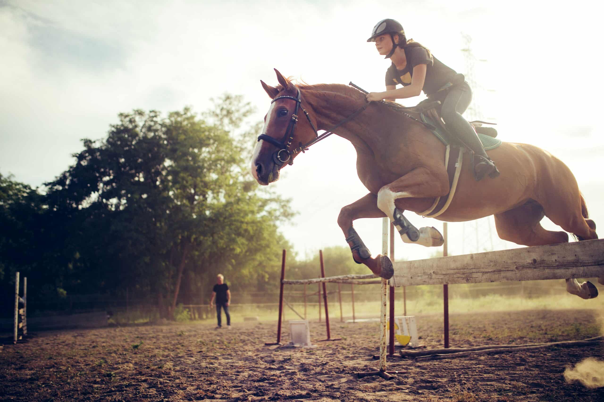 Horse and rider executing a precise training jump at sunrise