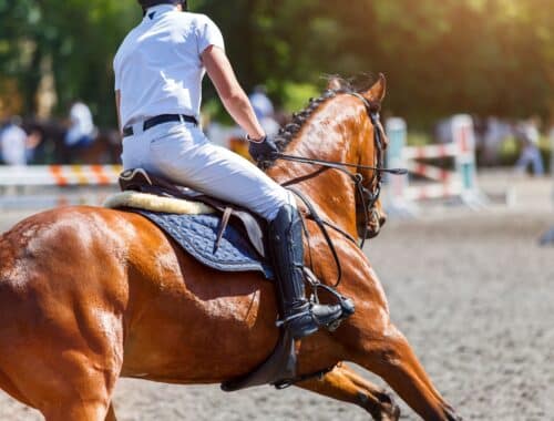 Rider guiding a sport horse through a jump-off turn